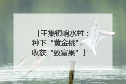 王集镇响水村：种下“黄金桃” 收获“致富果”