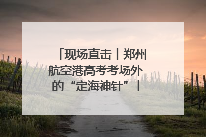 现场直击丨郑州航空港高考考场外的“定海神针”