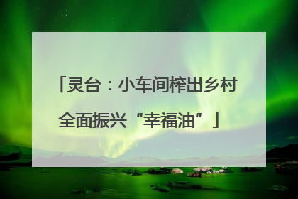 灵台：小车间榨出乡村全面振兴“幸福油”