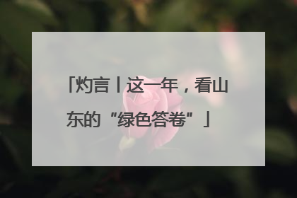 灼言丨这一年，看山东的“绿色答卷”