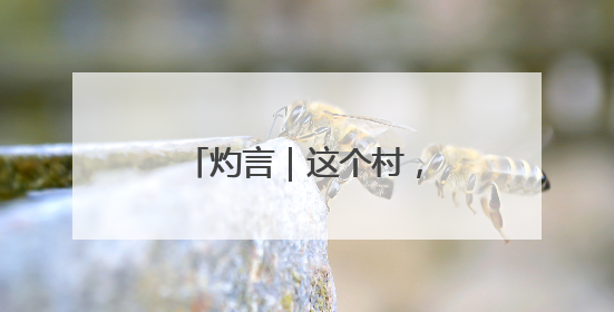灼言｜这个村，蕴藏着乡村振兴的“留人”密码