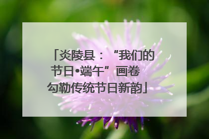 炎陵县：“我们的节日•端午”画卷 勾勒传统节日新韵