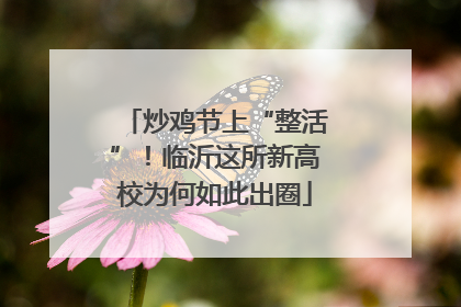 炒鸡节上“整活”！临沂这所新高校为何如此出圈