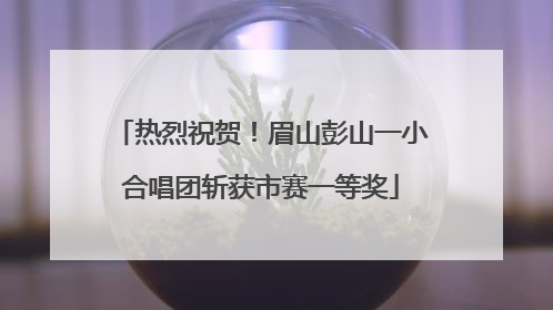 热烈祝贺！眉山彭山一小合唱团斩获市赛一等奖