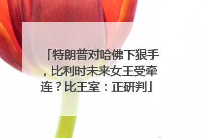 特朗普对哈佛下狠手，比利时未来女王受牵连？比王室：正研判