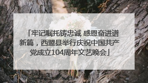 牢记嘱托铸忠诚 感恩奋进谱新篇，西盟县举行庆祝中国共产党成立104周年文艺晚会