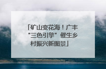矿山变花海！广丰“三色引擎”催生乡村振兴新图景