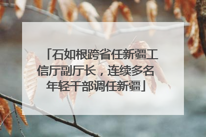 石如根跨省任新疆工信厅副厅长，连续多名年轻干部调任新疆