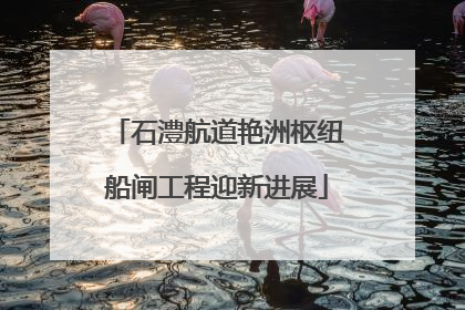石澧航道艳洲枢纽船闸工程迎新进展
