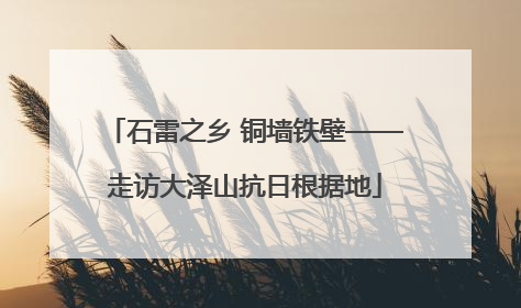 石雷之乡 铜墙铁壁——走访大泽山抗日根据地
