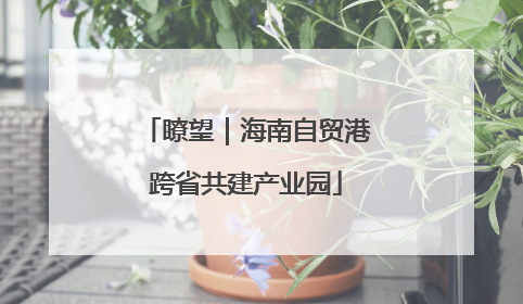 瞭望｜海南自贸港跨省共建产业园