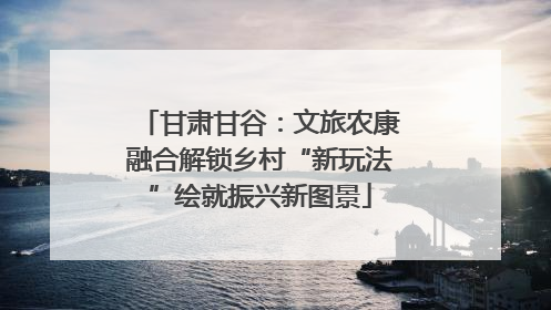 甘肃甘谷：文旅农康融合解锁乡村“新玩法”绘就振兴新图景
