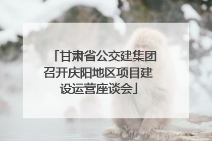 甘肃省公交建集团召开庆阳地区项目建设运营座谈会