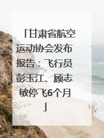甘肃省航空运动协会发布报告：飞行员彭玉江、顾志敏停飞6个月