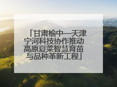 甘肃榆中—天津宁河科技协作推动高原夏菜智慧育苗与品种革新工程