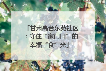 甘肃高台东苑社区：守住“家门口”的幸福“食”光