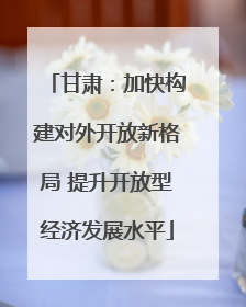 甘肃：加快构建对外开放新格局 提升开放型经济发展水平