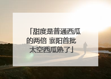 甜度是普通西瓜的两倍 襄阳首批太空西瓜熟了
