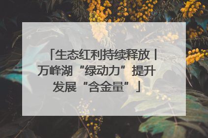 生态红利持续释放丨万峰湖“绿动力”提升发展“含金量”