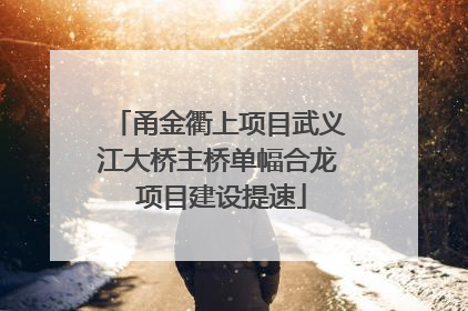 甬金衢上项目武义江大桥主桥单幅合龙 项目建设提速