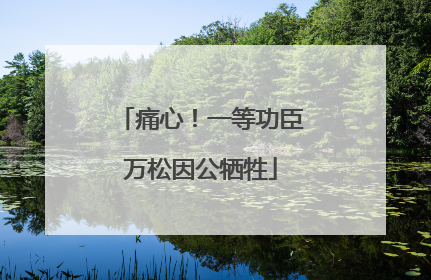 痛心！一等功臣万松因公牺牲