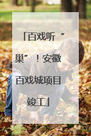 百戏听“巢”！安徽百戏城项目竣工