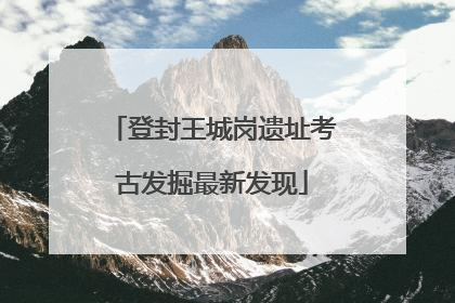 登封王城岗遗址考古发掘最新发现