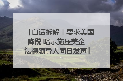 白话拆解丨要求美国降税 暗示施压美企 法德领导人同日发声