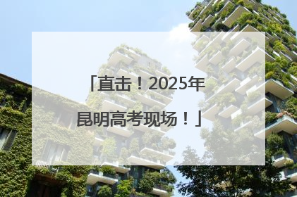 直击！2025年昆明高考现场！