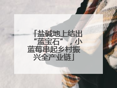 盐碱地上结出“蓝宝石”，小蓝莓串起乡村振兴全产业链
