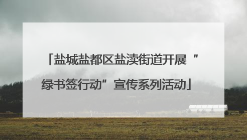 盐城盐都区盐渎街道开展“绿书签行动”宣传系列活动