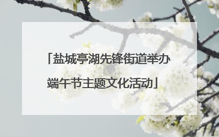 盐城亭湖先锋街道举办端午节主题文化活动