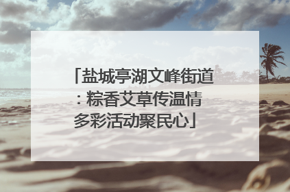 盐城亭湖文峰街道：粽香艾草传温情 多彩活动聚民心