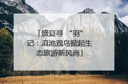 盛夏寻 “羽” 记：滇池观鸟掀起生态旅游新风尚