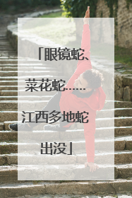 眼镜蛇、菜花蛇……江西多地蛇出没