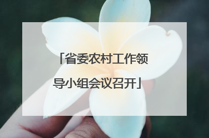 省委农村工作领导小组会议召开