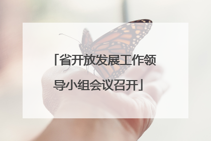 省开放发展工作领导小组会议召开