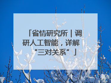 省情研究所｜调研人工智能，详解“三对关系”