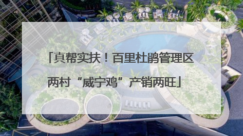 真帮实扶！百里杜鹃管理区两村“威宁鸡”产销两旺
