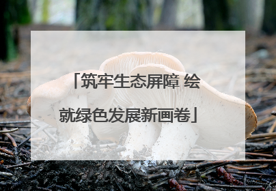 筑牢生态屏障 绘就绿色发展新画卷