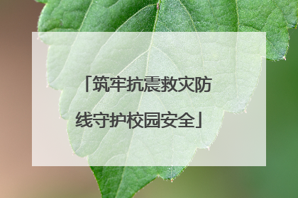 筑牢抗震救灾防线守护校园安全