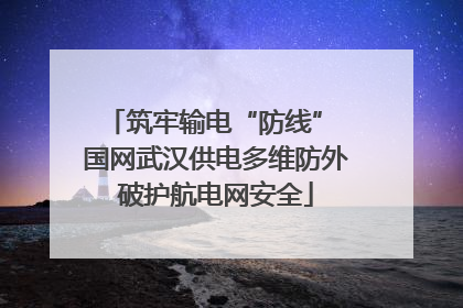 筑牢输电“防线” 国网武汉供电多维防外破护航电网安全