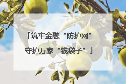 筑牢金融“防护网” 守护万家“钱袋子”