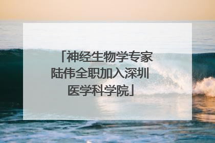 神经生物学专家陆伟全职加入深圳医学科学院