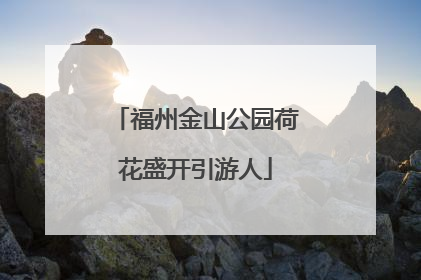 福州金山公园荷花盛开引游人