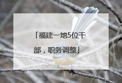 福建一地5位干部，职务调整