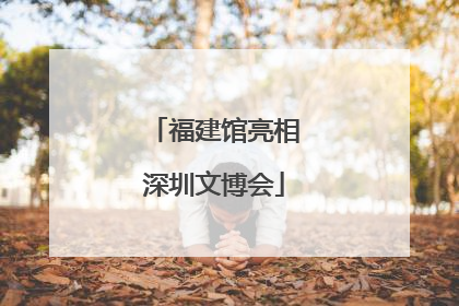 福建馆亮相深圳文博会
