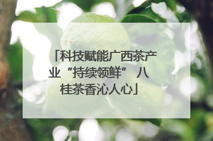 科技赋能广西茶产业“持续领鲜” 八桂茶香沁人心