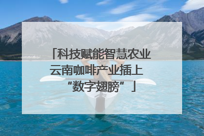 科技赋能智慧农业 云南咖啡产业插上“数字翅膀”