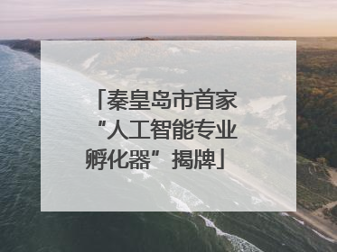 秦皇岛市首家“人工智能专业孵化器”揭牌
